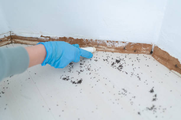 Real Estate Pest Inspections in Glendale, WI